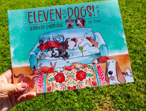 Eleven Dogs Live With Me